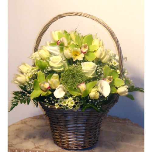 Gala flower basket with cream roses and green orchids XXL